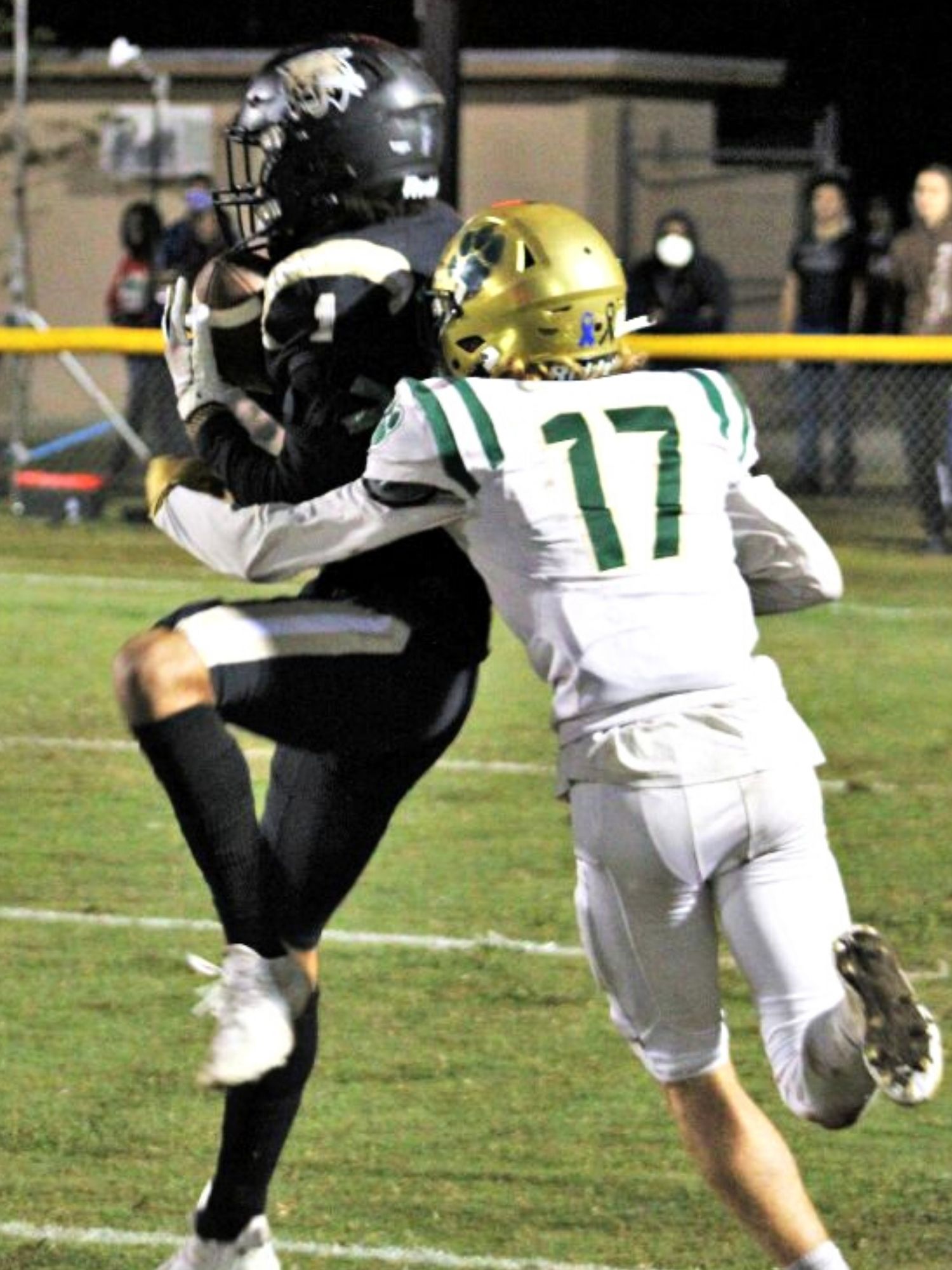 Buchholz's Adrian Sermons hauls in a pass to the 3-yard line