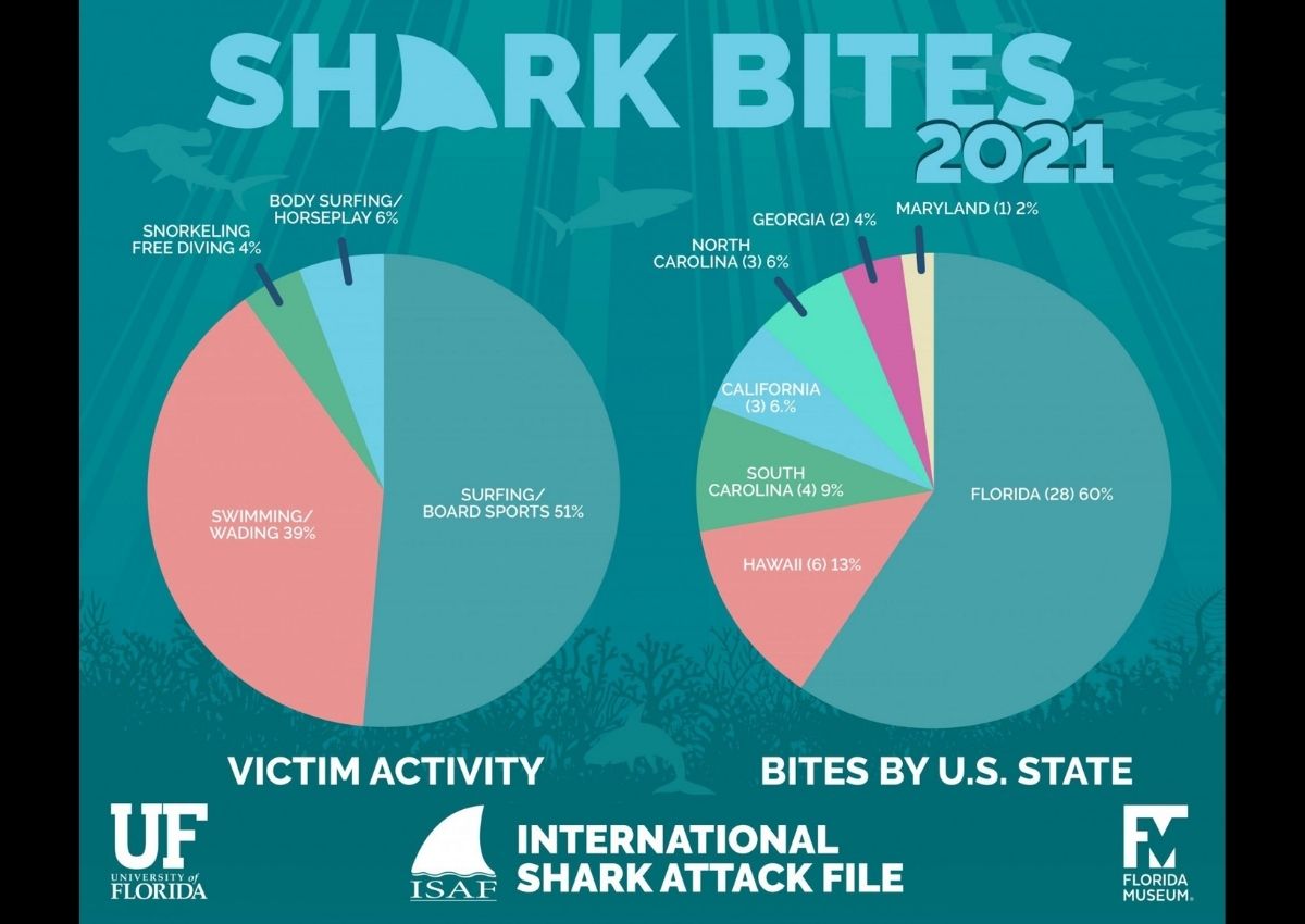 Shark Bites 2021 bites by state - victim activity