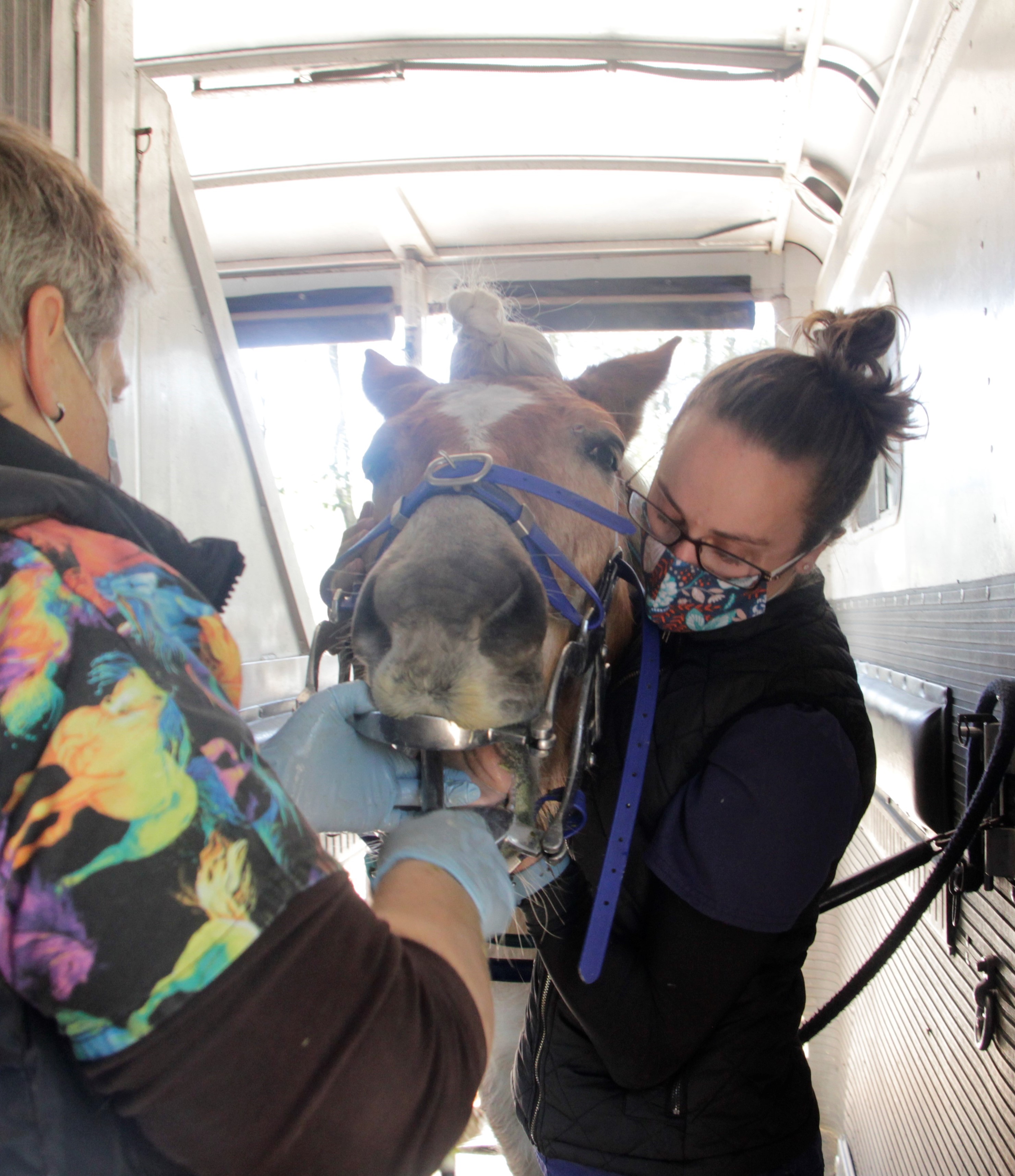 vet tech cropped