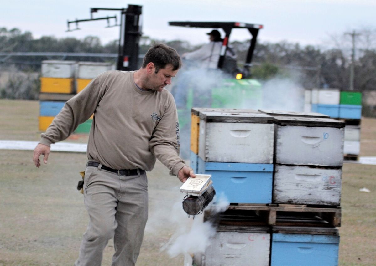 Brady Ruby smoker bees to California