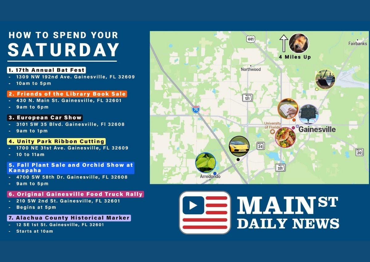 How to spend your Saturday