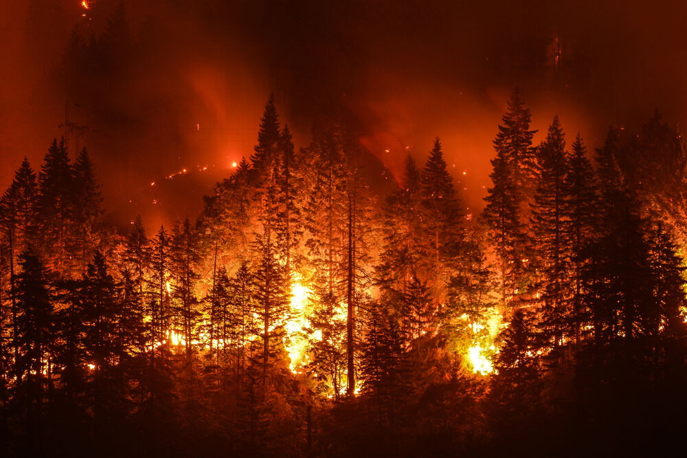 Oregon fires