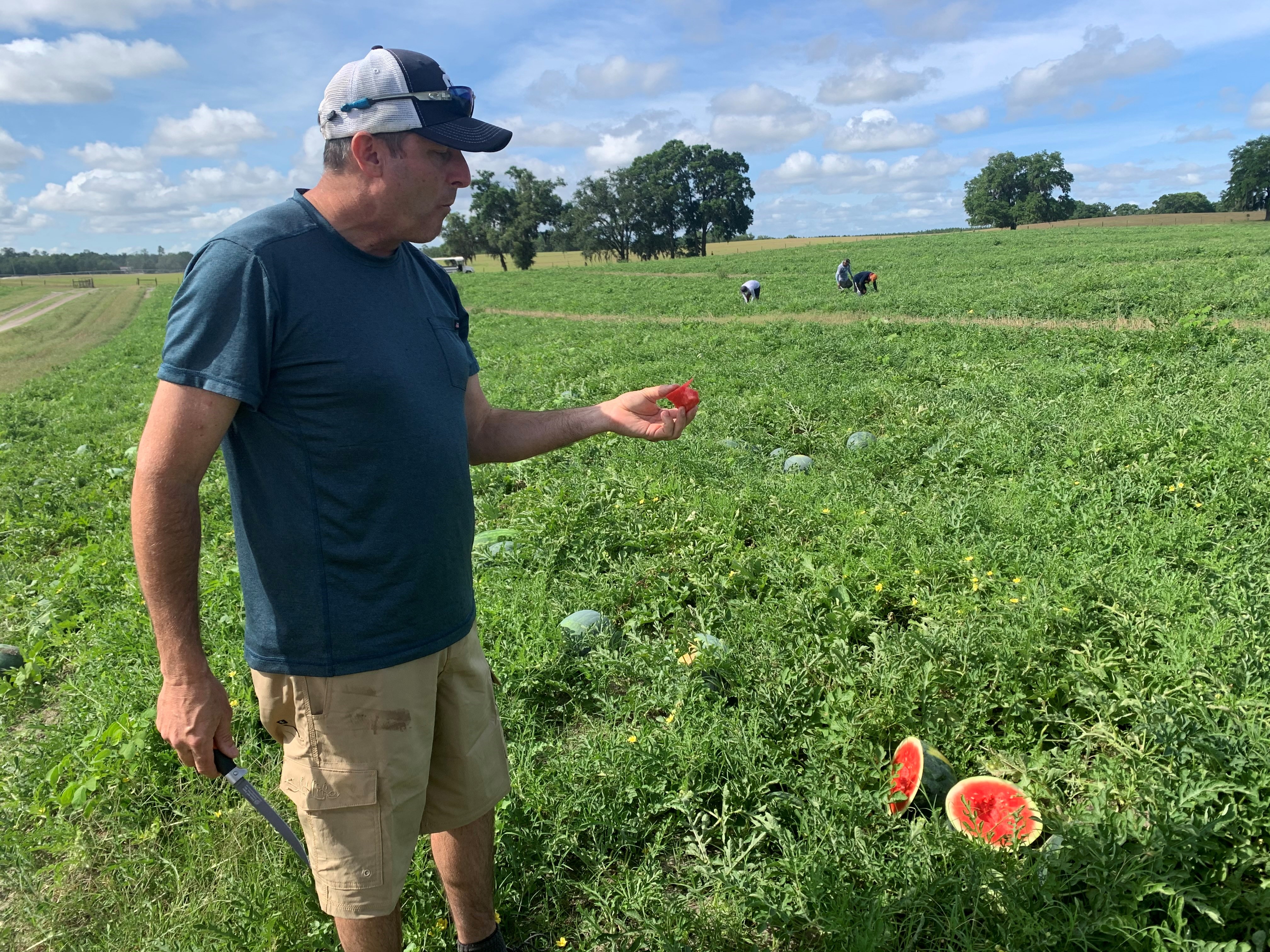 Matt Jones tastes fresh watermelon in the field.