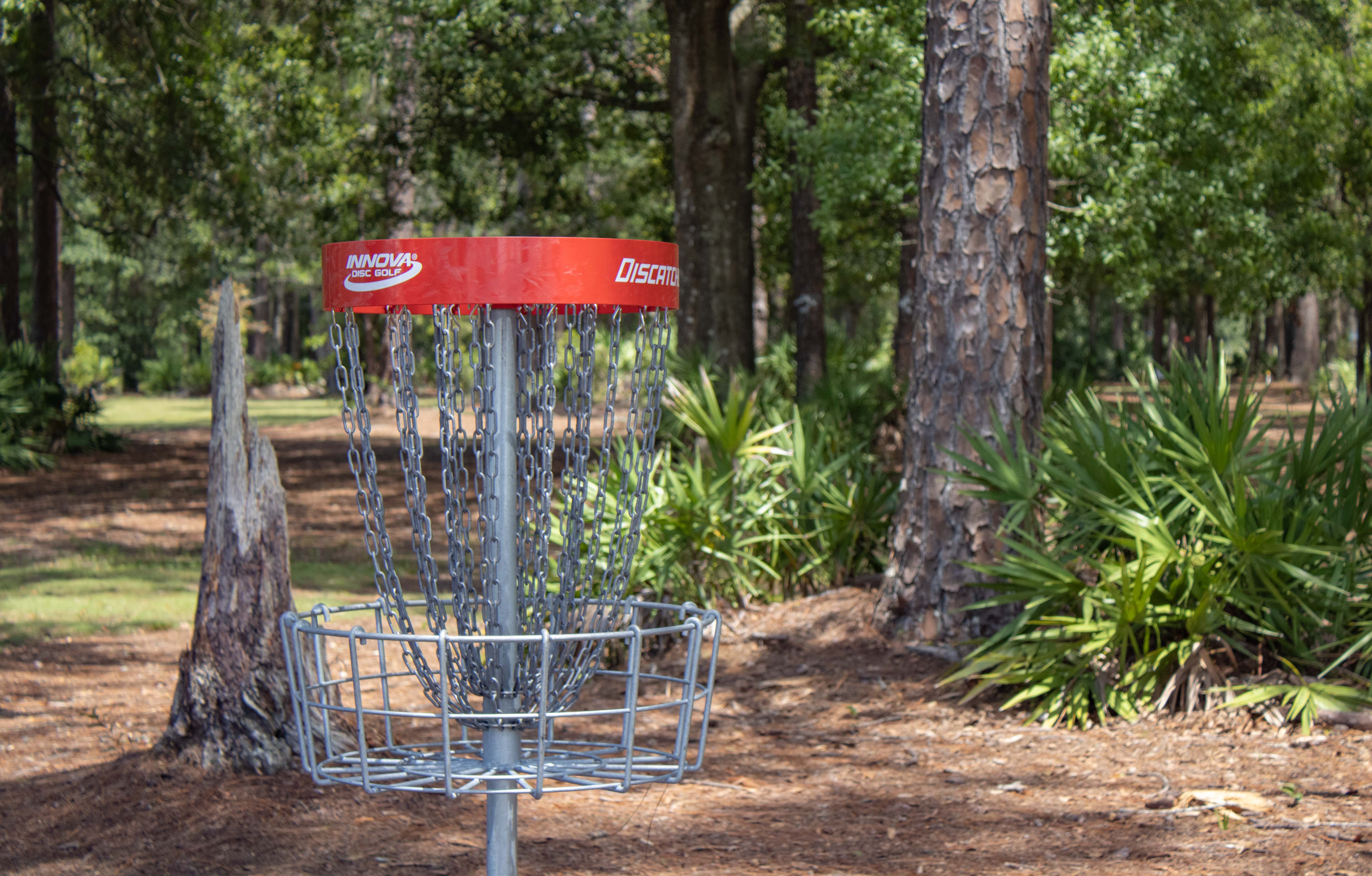 Disc golf hole in wooded area