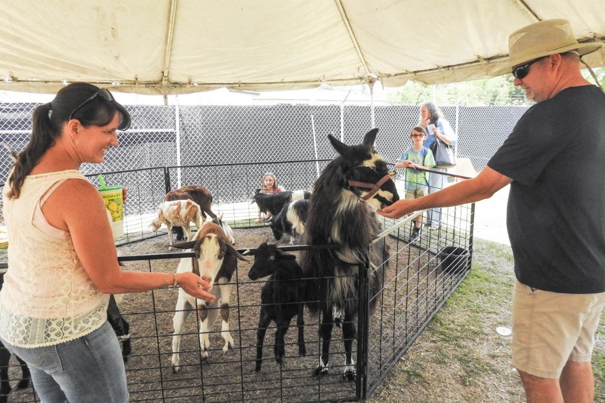 High Springs Pioneer Days animals