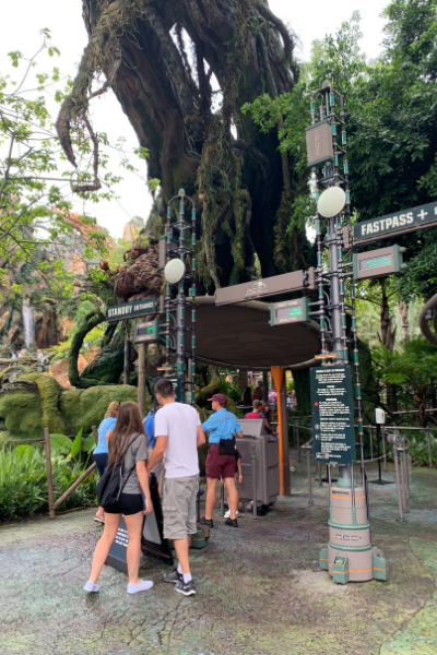 Minimal waiting at Avatar Flight of Passage vertical