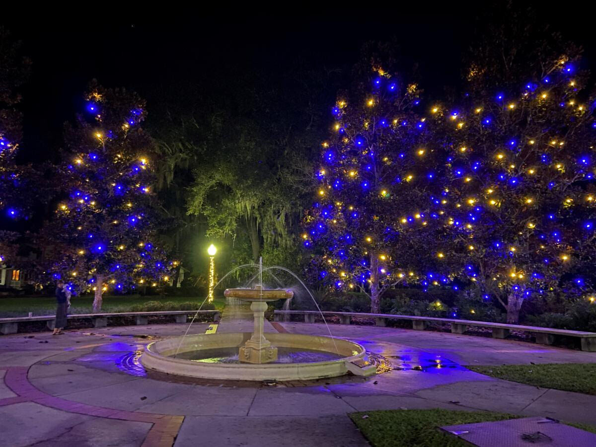 Christmas Lights Gainesville Fl 