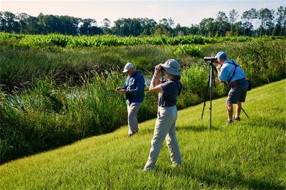 People with binoculars looking over a feild