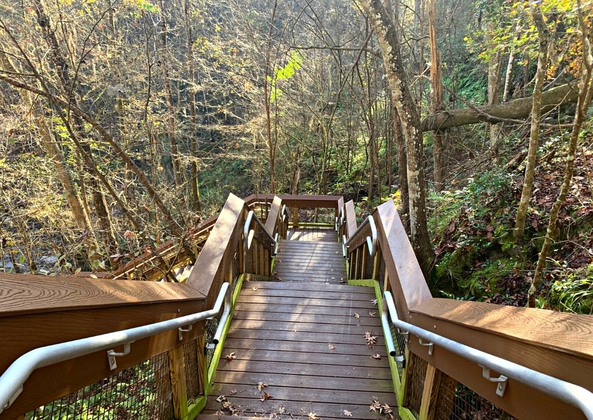 Devil's Millhopper Geological State Park staircase