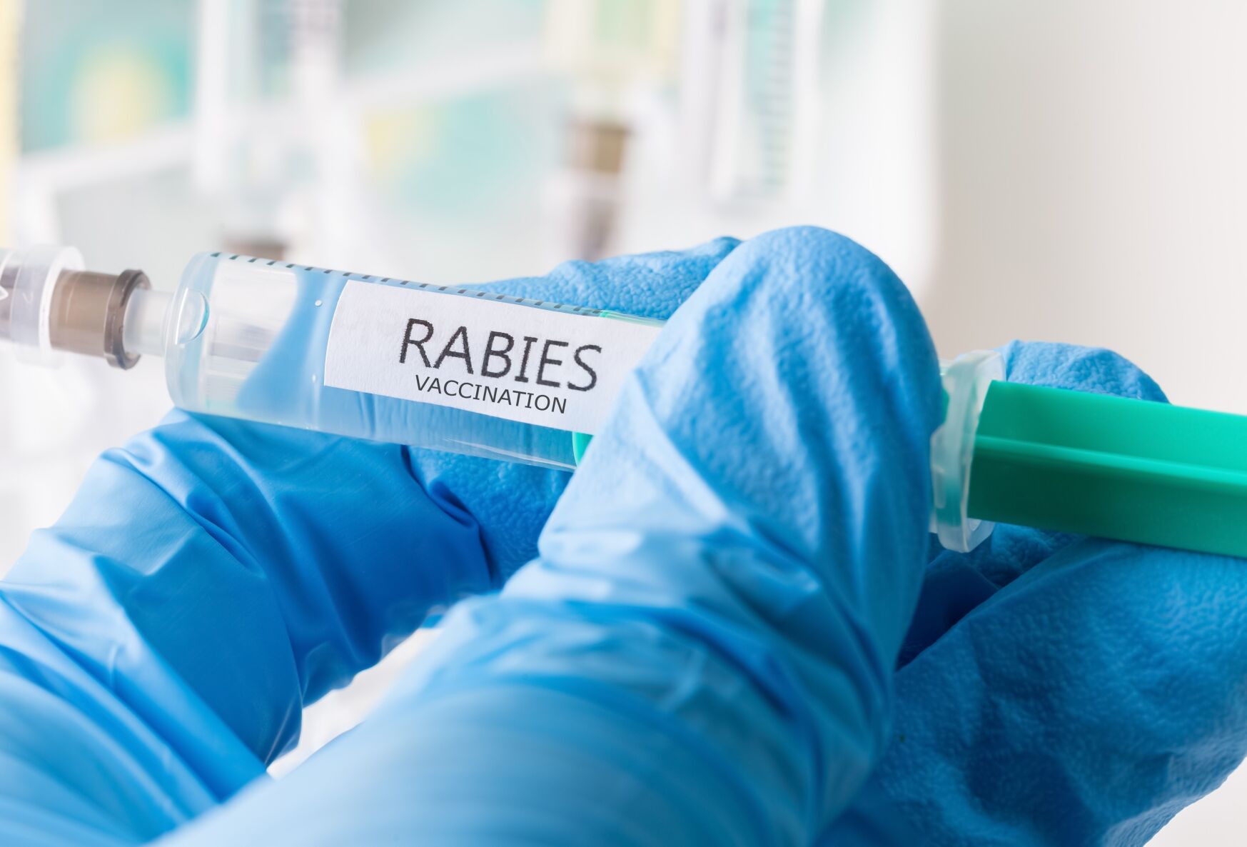 fdoh-issues-rabies-alert-for-northeast-gainesville