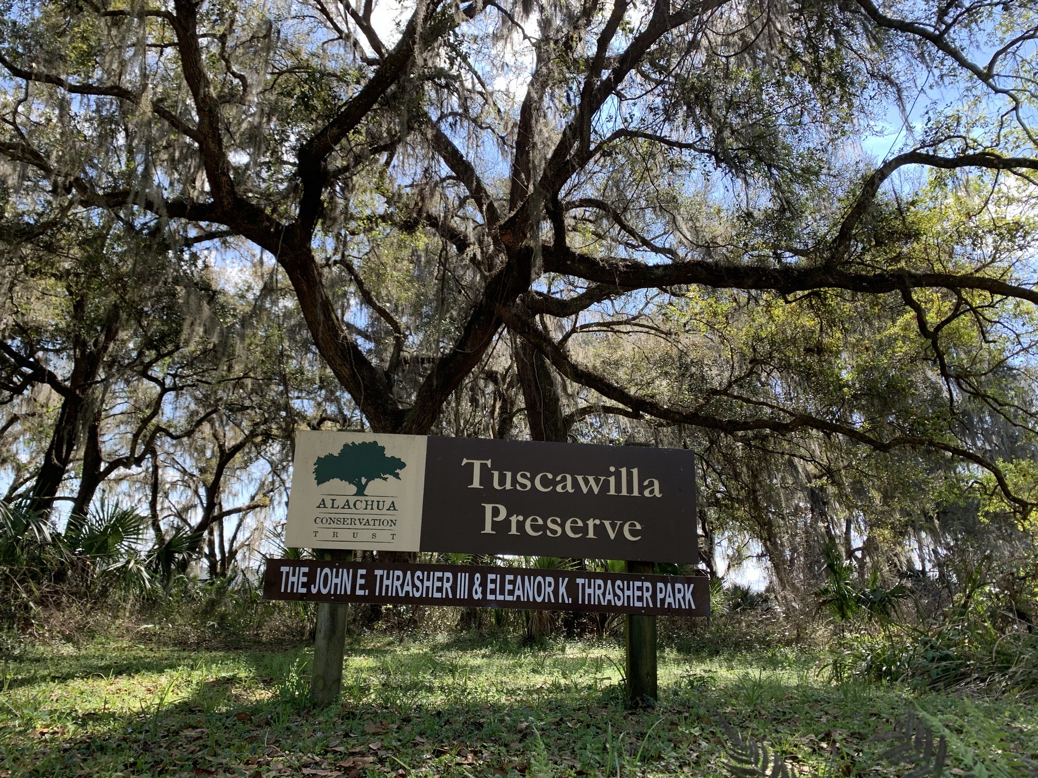 Tuscawilla Preserve.JPG