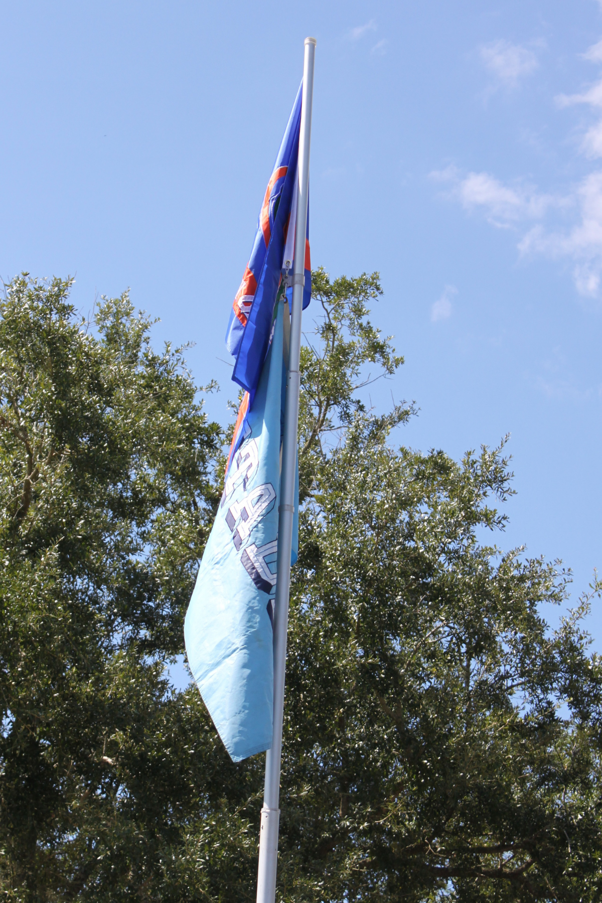 UF and Citadel flags
