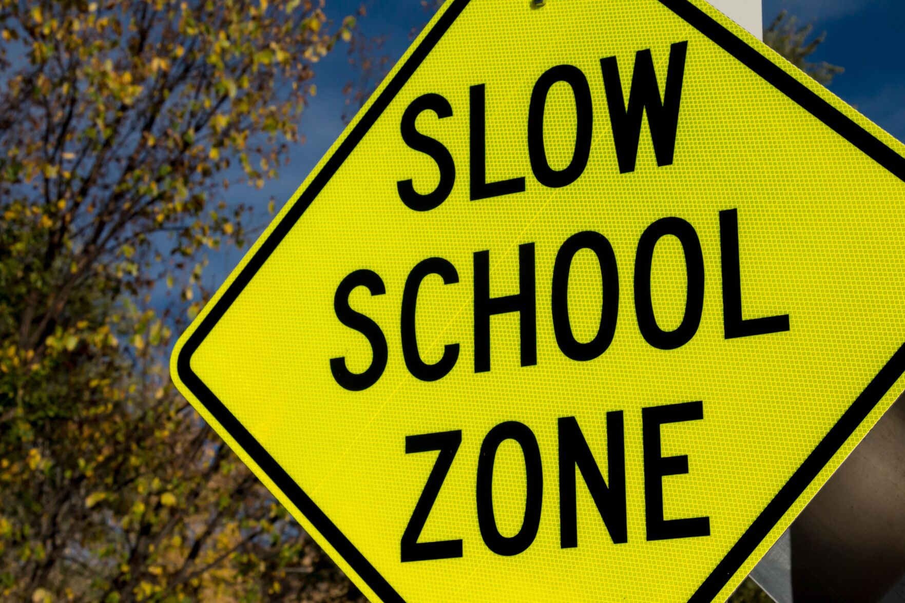 Potential solution surfaces for Alachua Learning Academy school zone