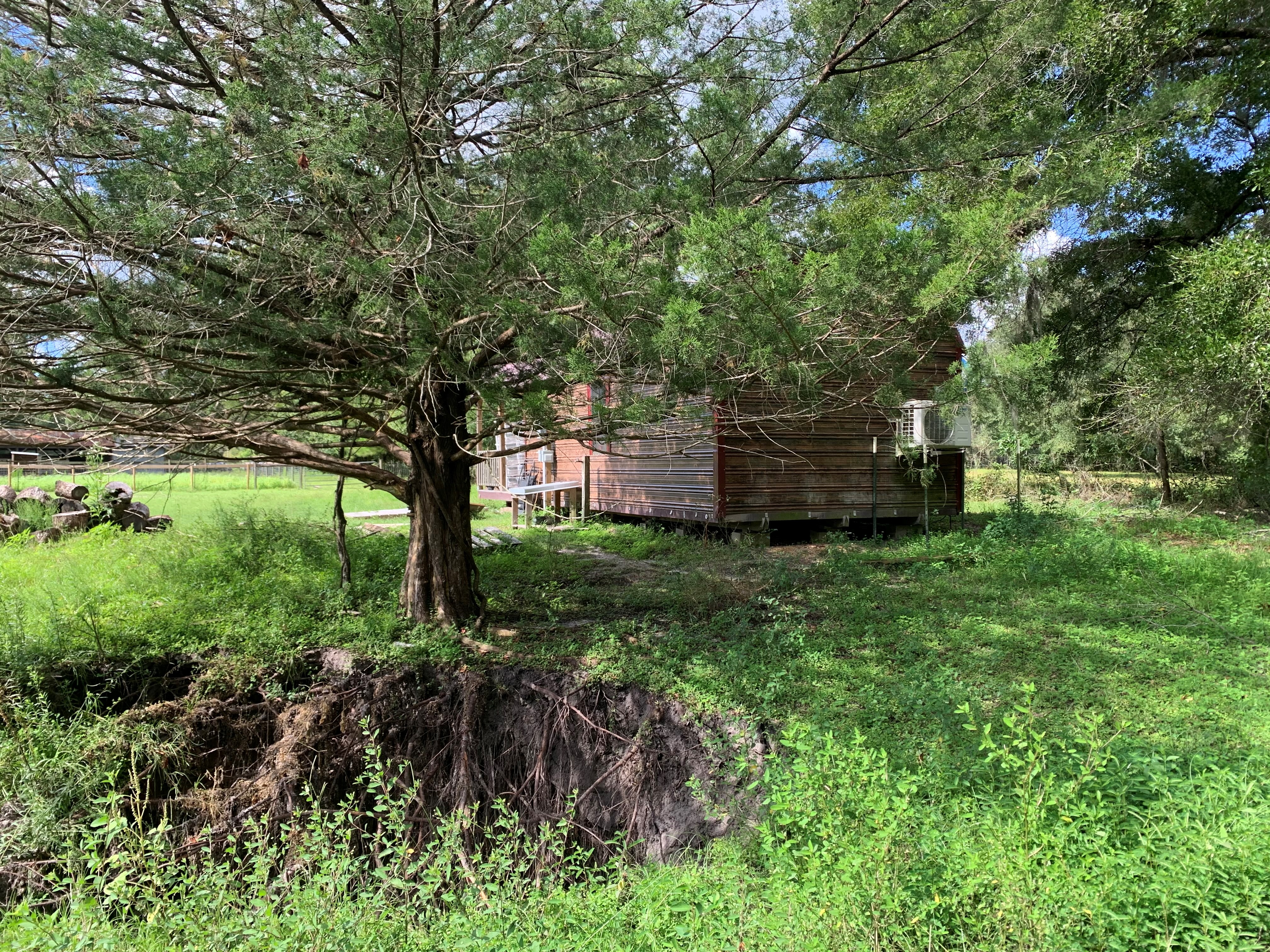 Sinkhole near a shed