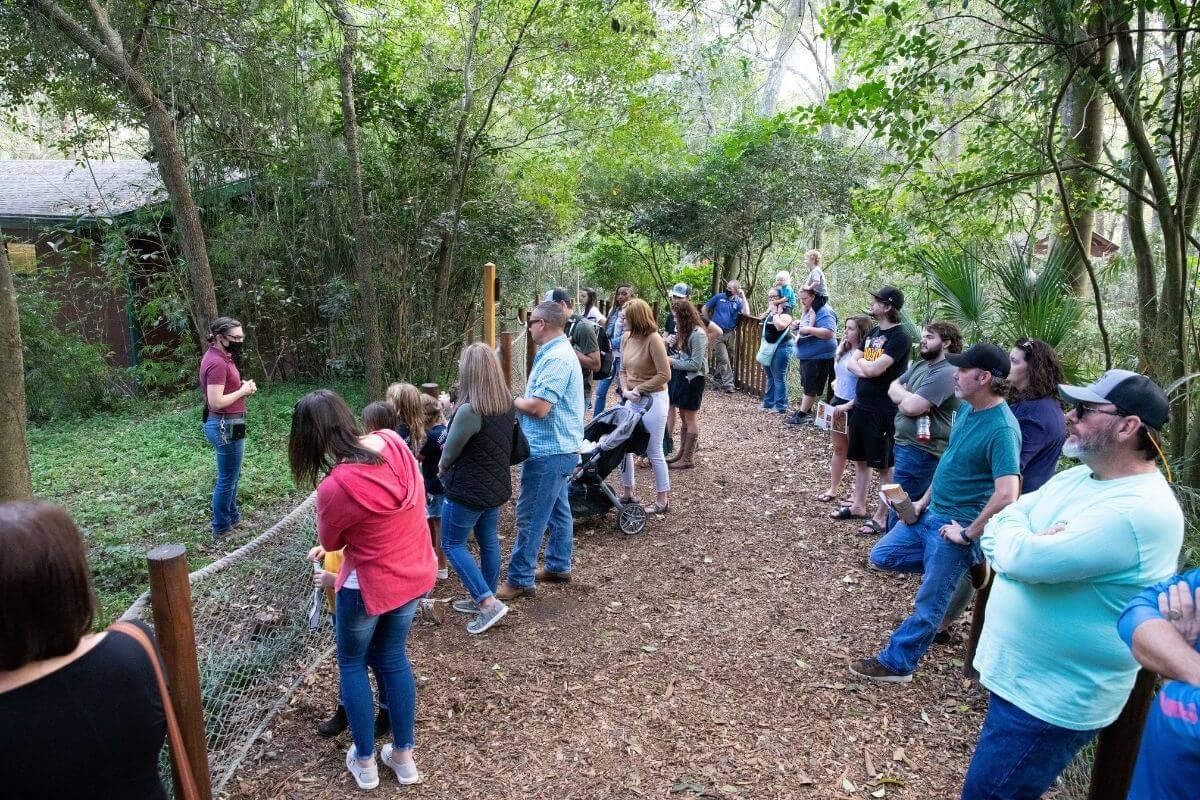 Visitors listen to zoo tech