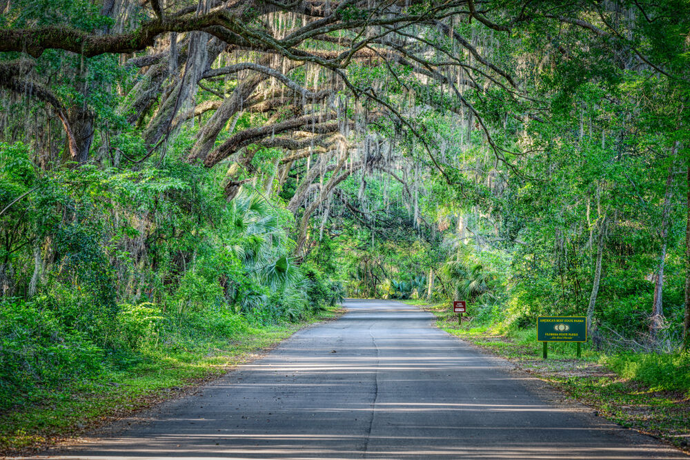 Paynes Prairie Preserve State Park