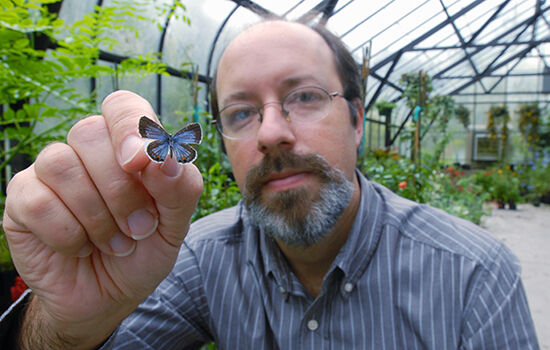 UF assistant professor Jaret Daniels holds a tiny butterfly