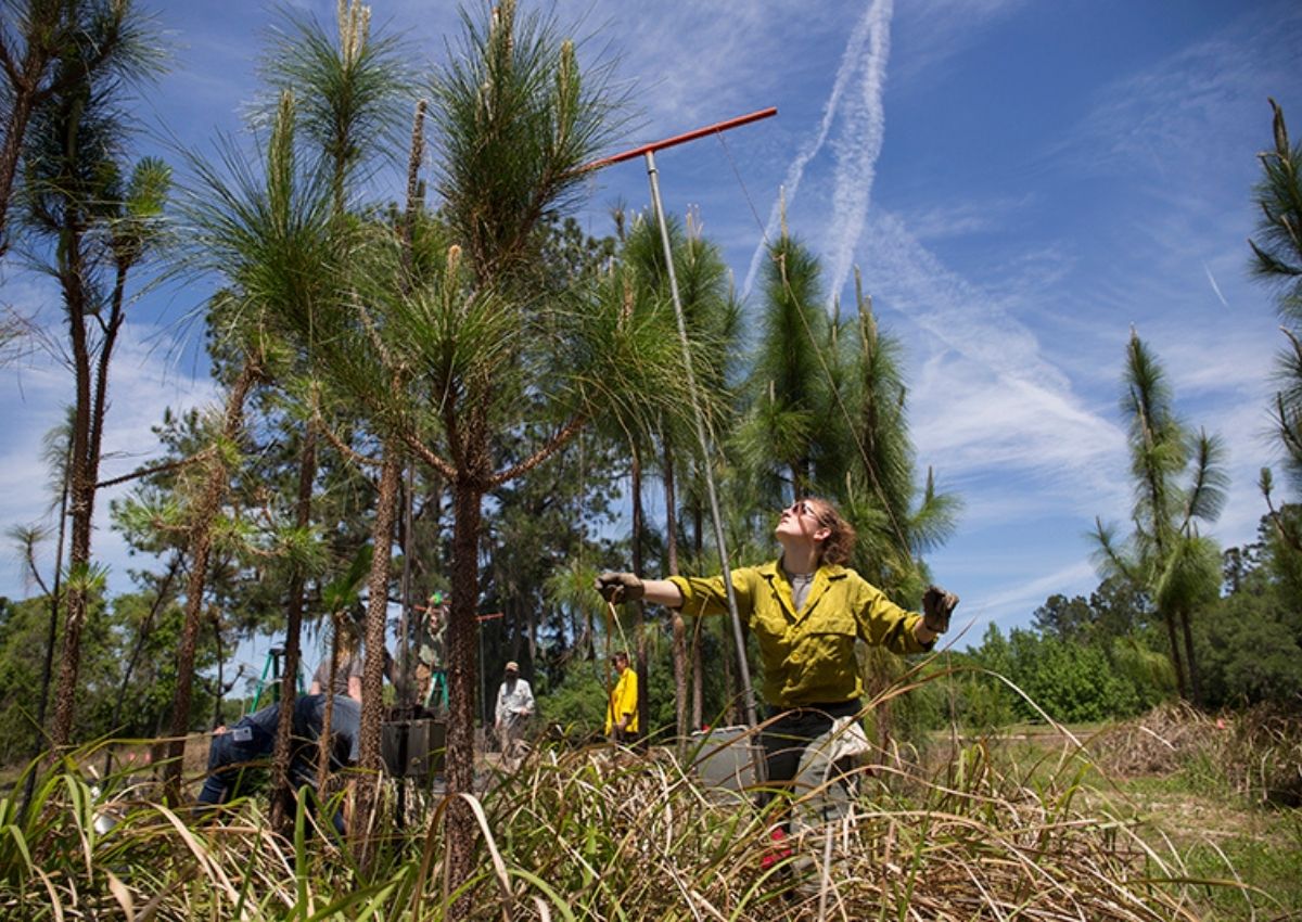 Student assistant sets up passive flame height sensors