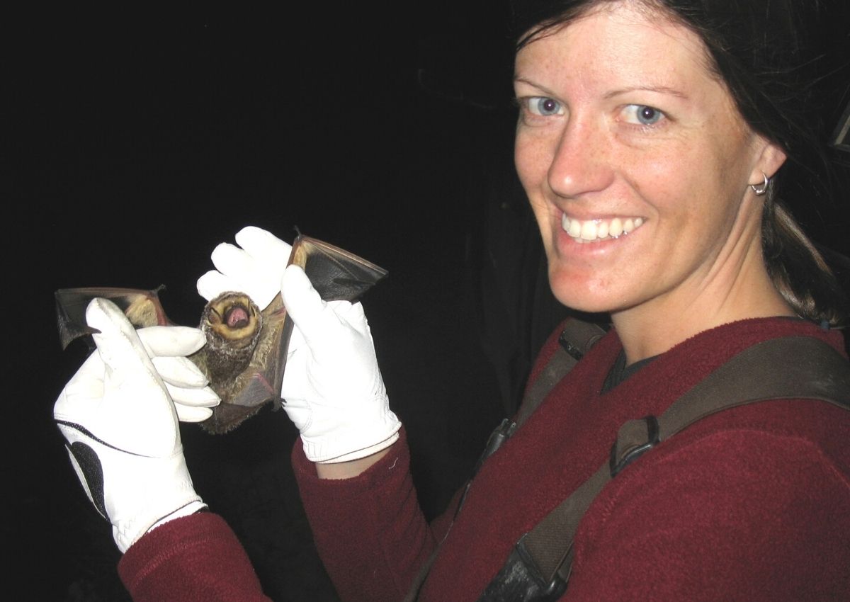 Dr. Shelly Johnson with a Hoary Bat
