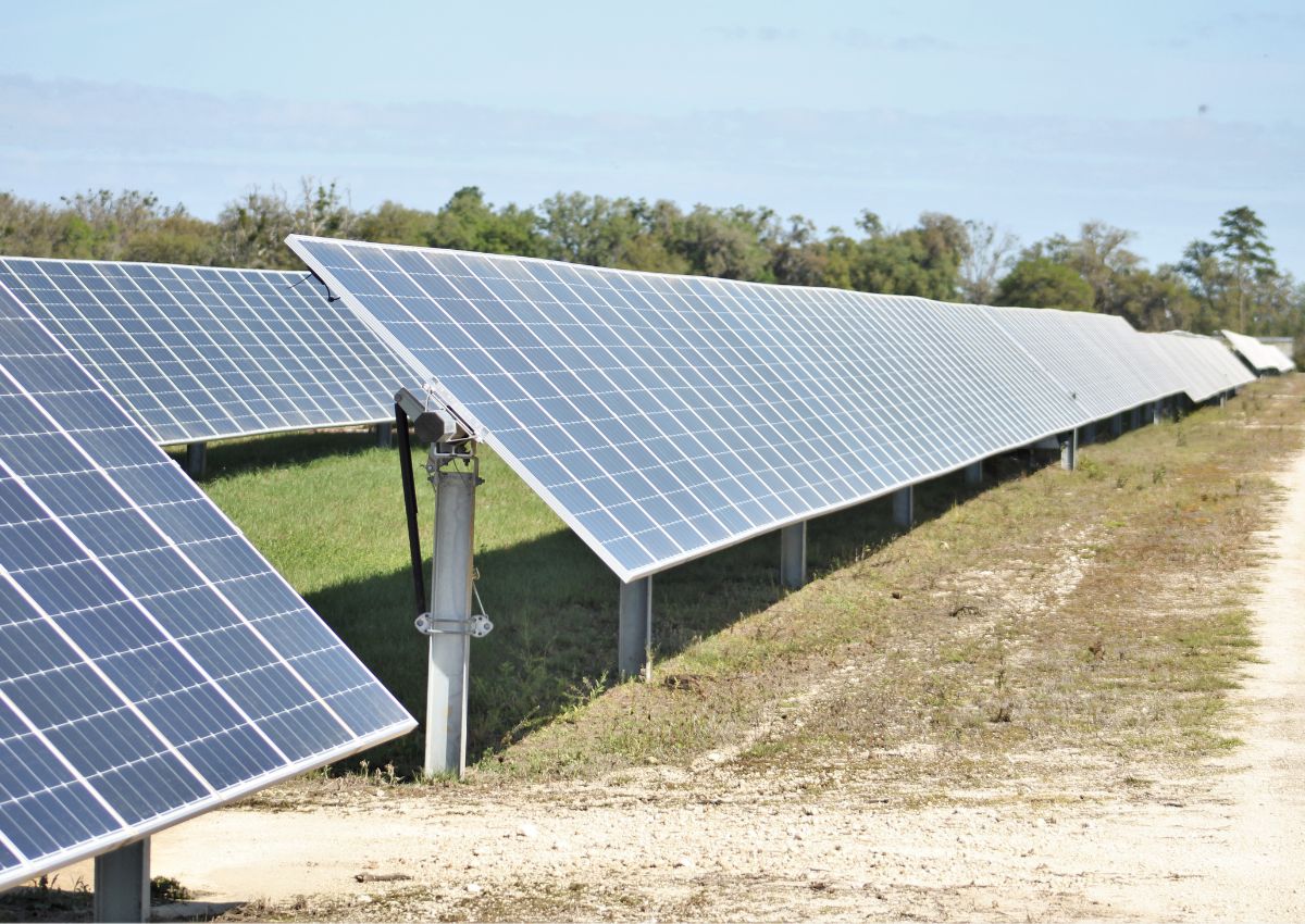 Solar panels at Duke's Trenton Solar Plant