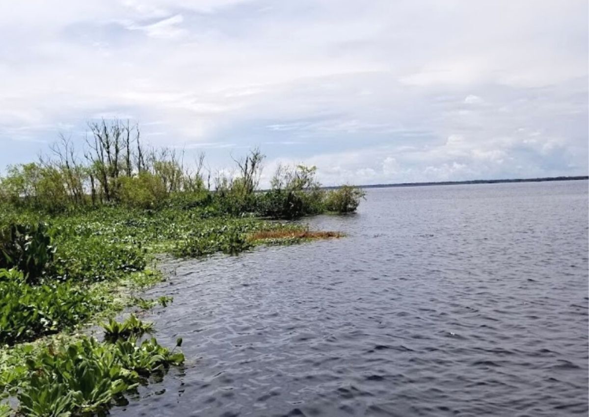 FWC releases Orange Lake mortality event findings