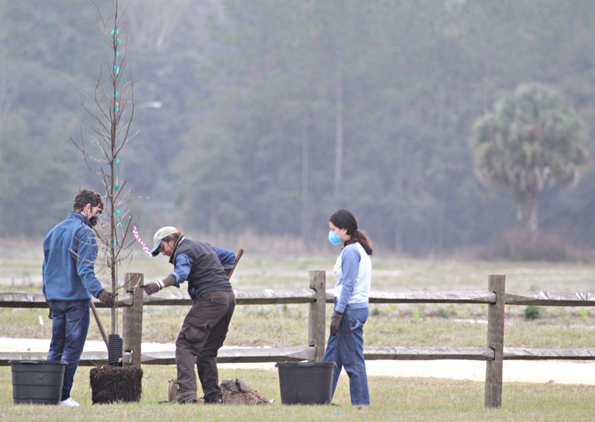 Alachua County arborist Lacy Holtzworth at the Easton Newberry Sports Complex with tree planters