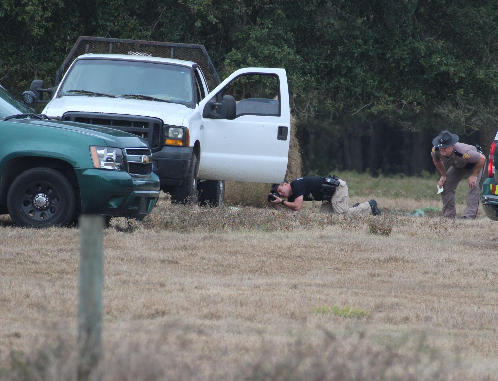 Gainesville man dies after being struck by truck in Newberry pasture