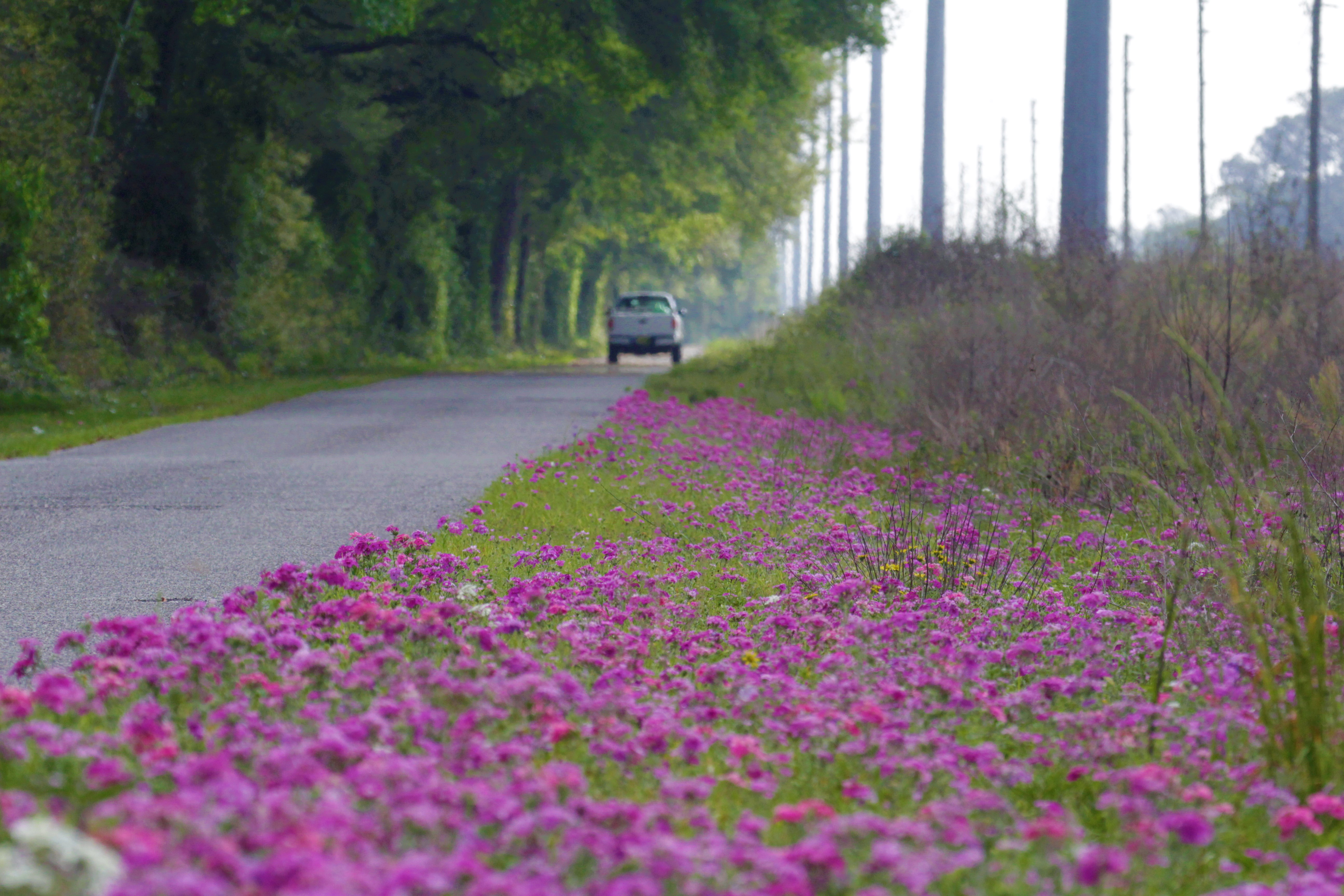 Billy Thomas driving down the Nature Coast State Trail