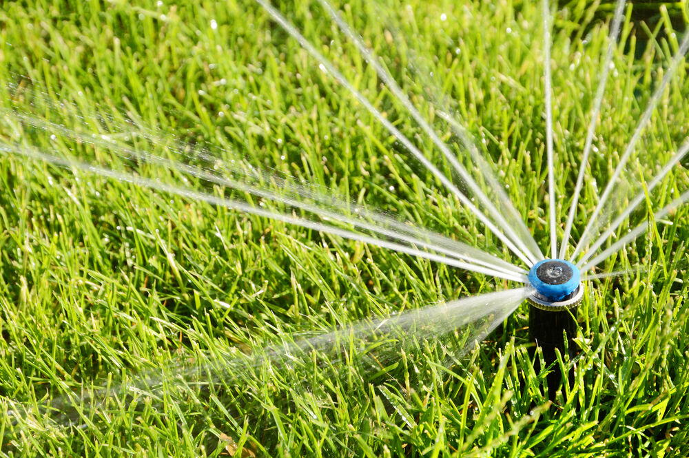 Do your part to save water Reset your sprinkler system to fall back to