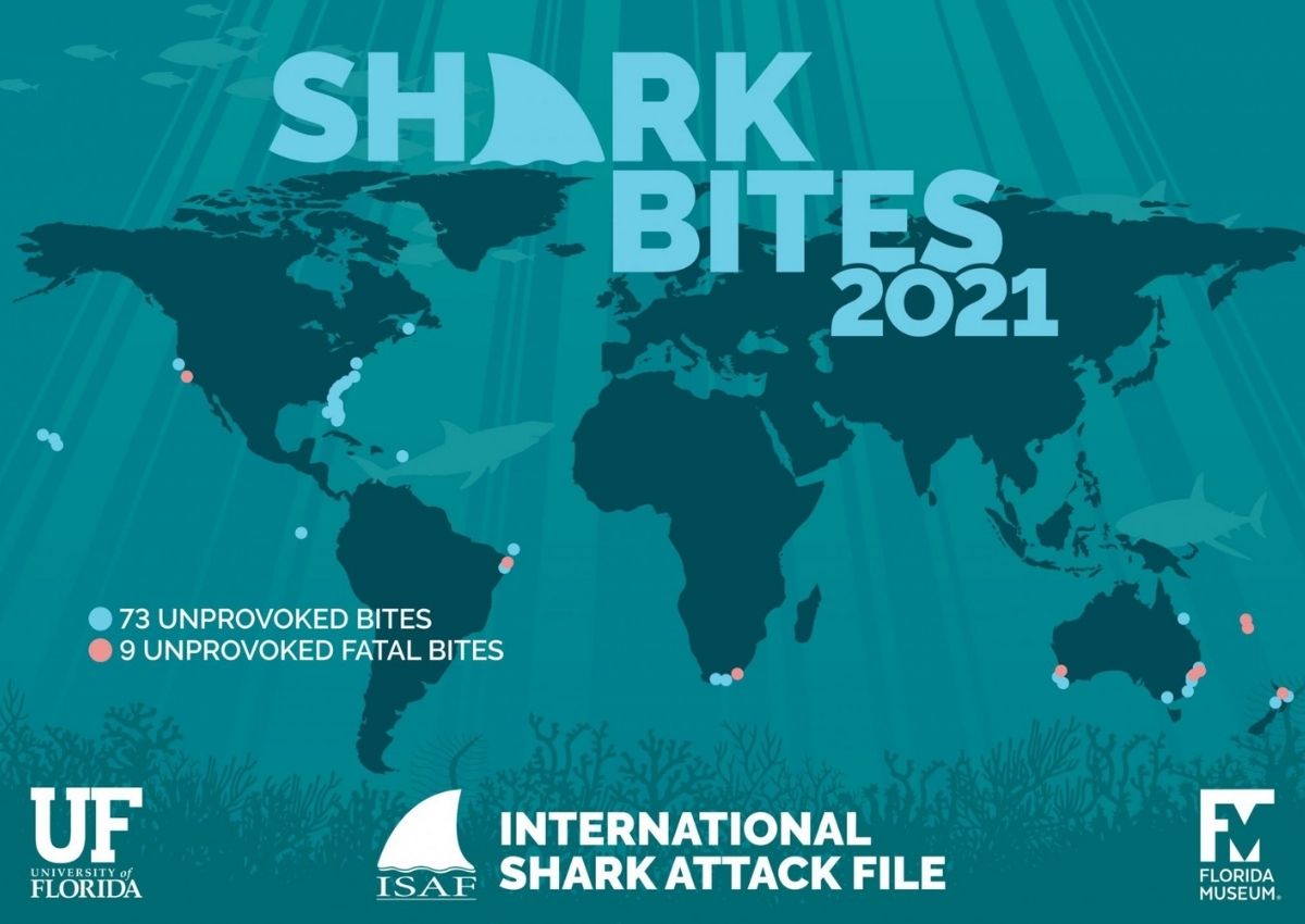 Shark bites 2021 international attack map