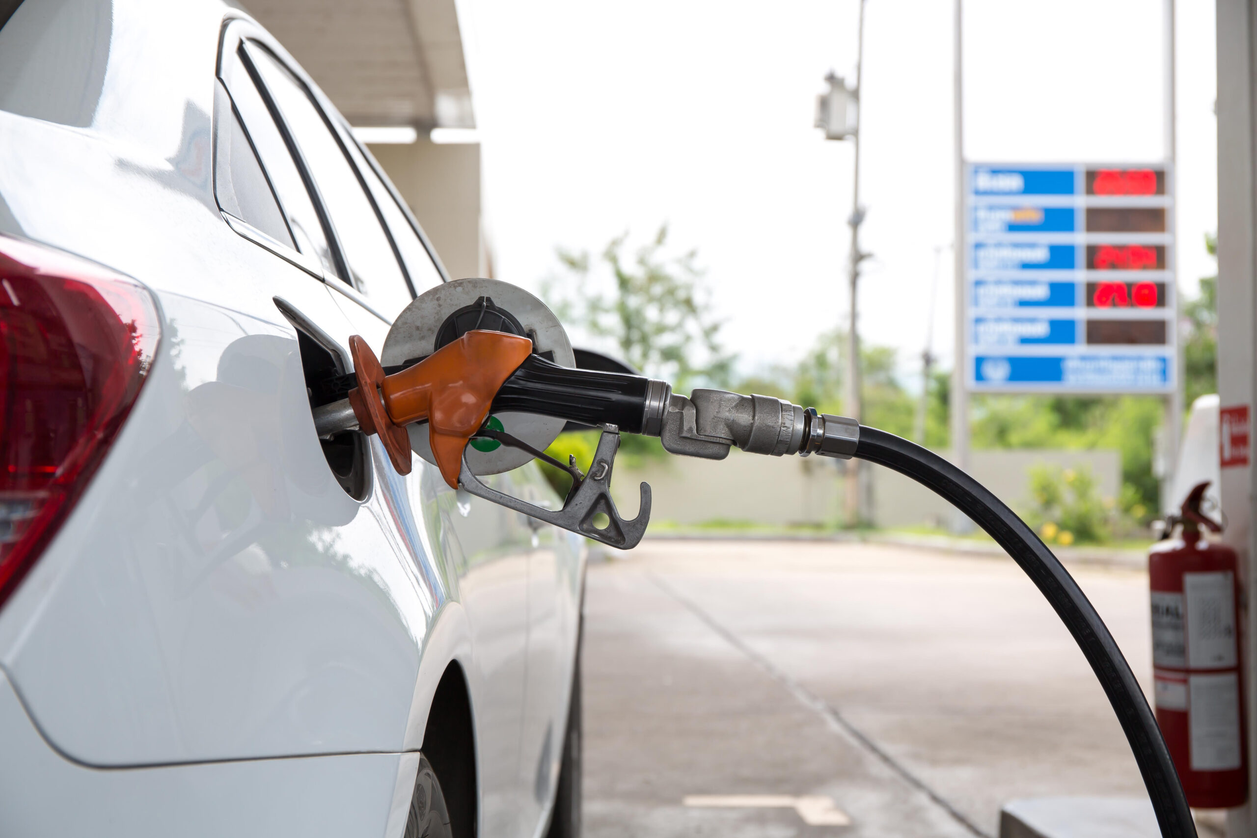  Navigating the Fuel Market: Gas Prices in Florida and Beyond 