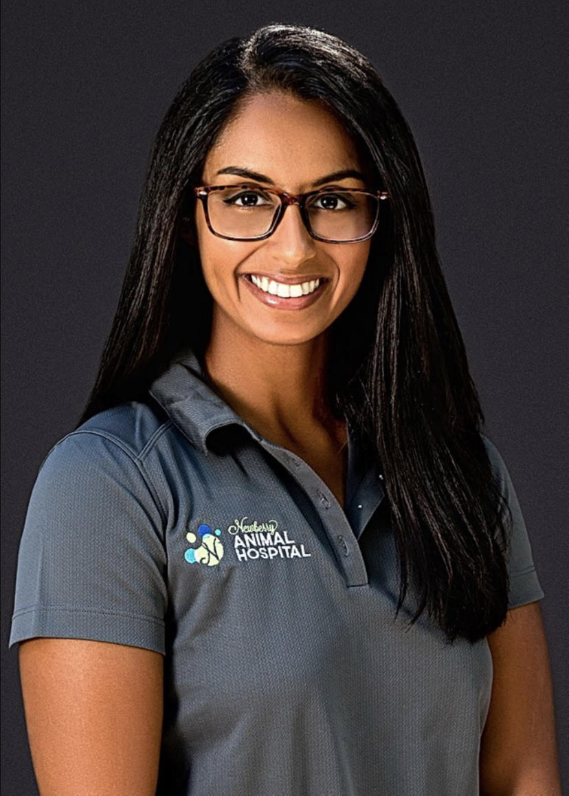 Dr. Ishita Shah