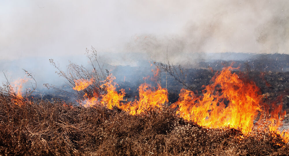 Brush fire