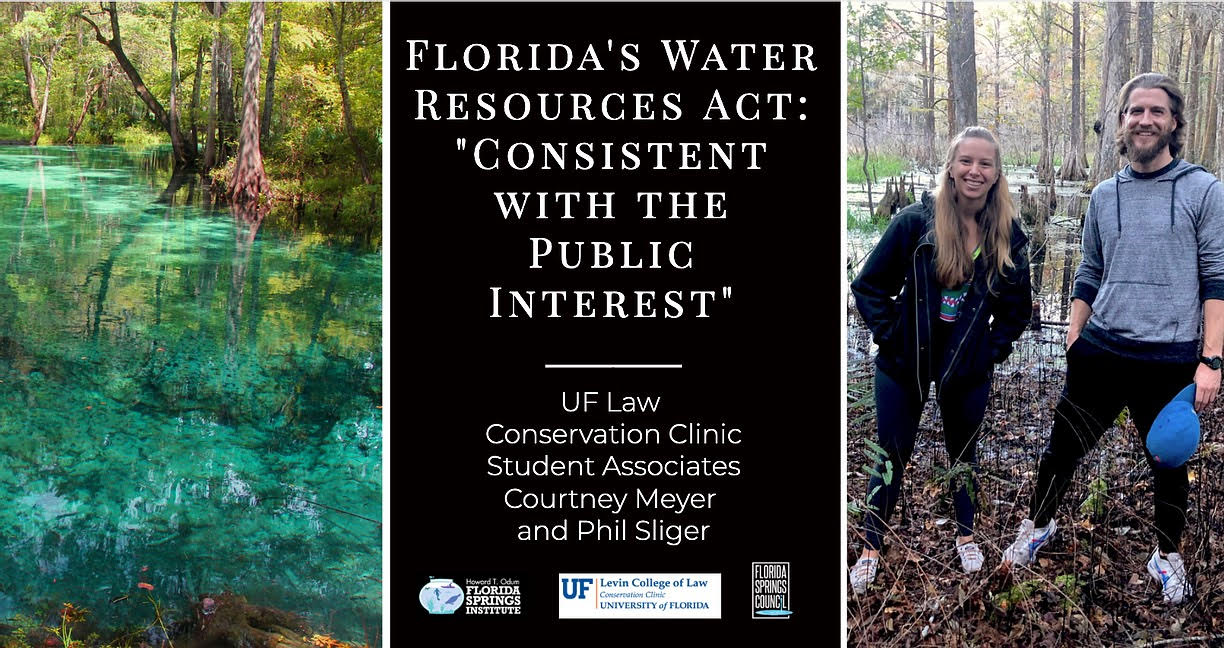 Photo Collage of Florida Springs and A couple standing in the woods