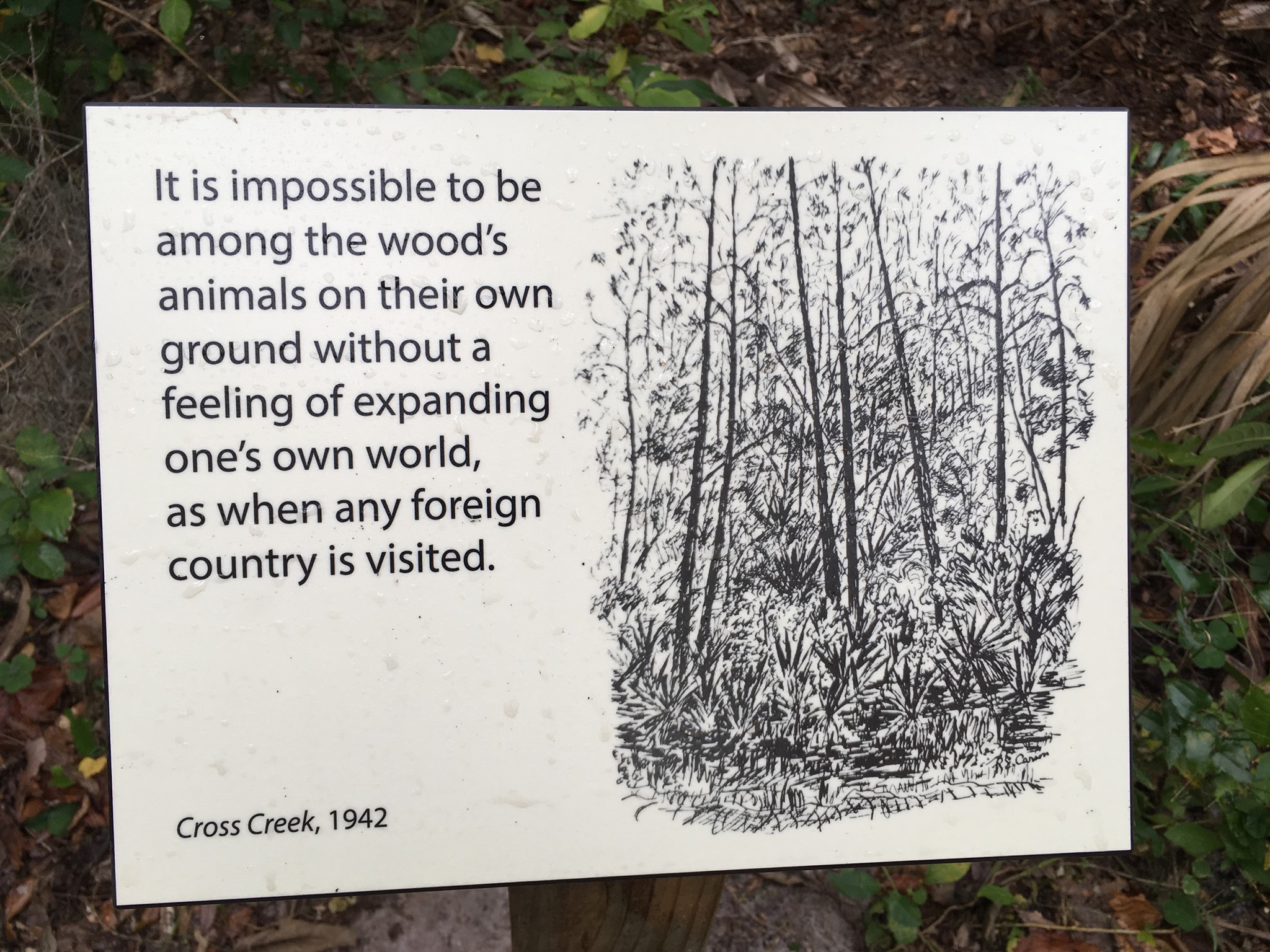 Placard on the Marjorie Kinnan Rawlings quotation trail