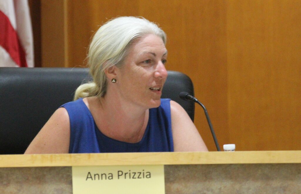 Alachua County Commissioners Anna Prizzia proposed an emergency meeting to discuss COVID mitigation efforts.
