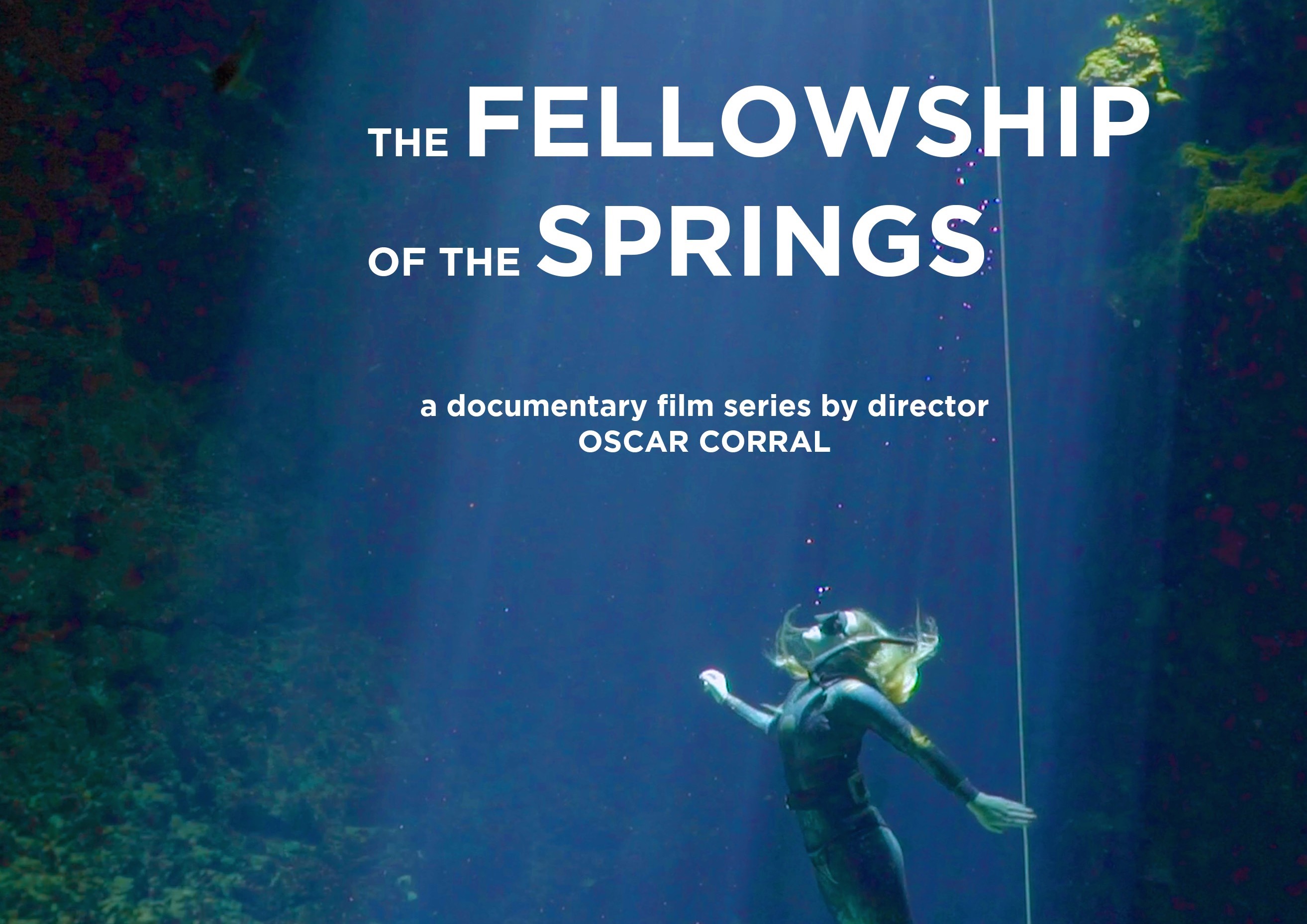 Fellowship of The Springs film title