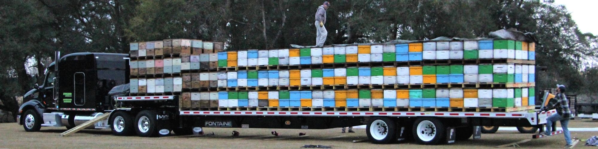 Truck loaded with beehives heading to California