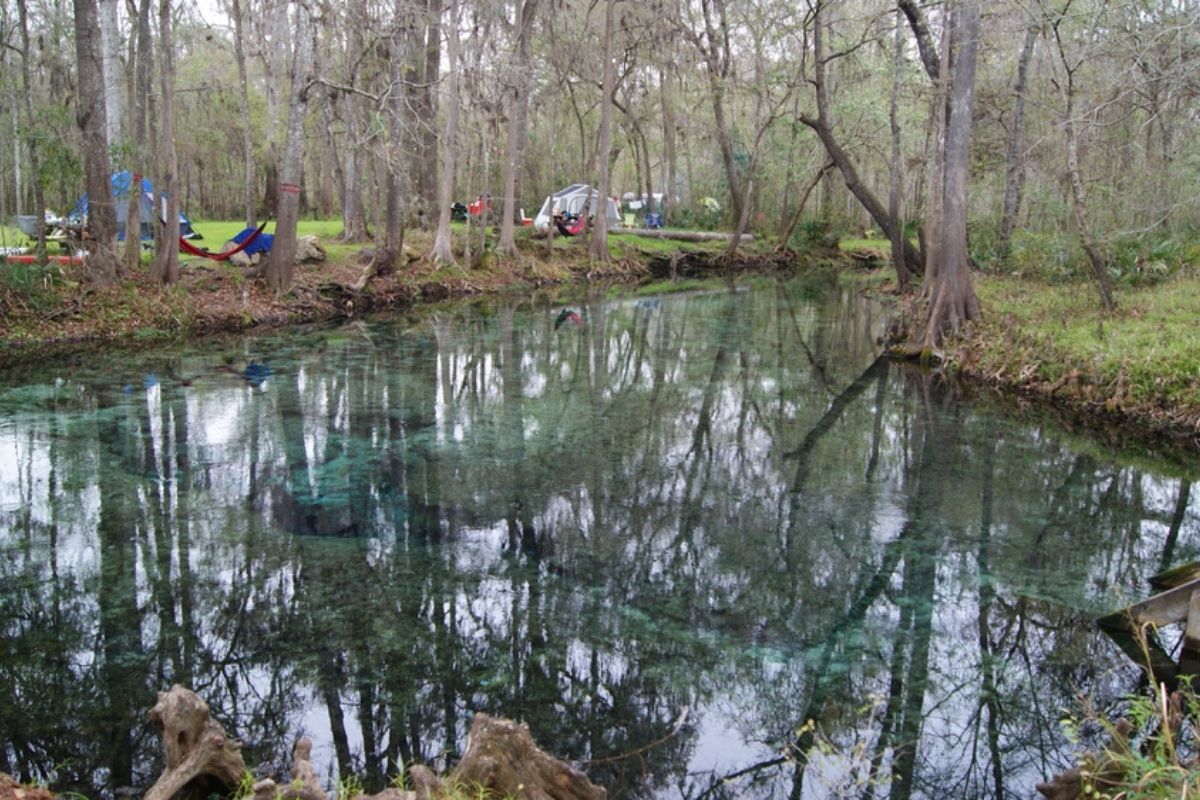 Accident kills toddler at Ginnie Springs