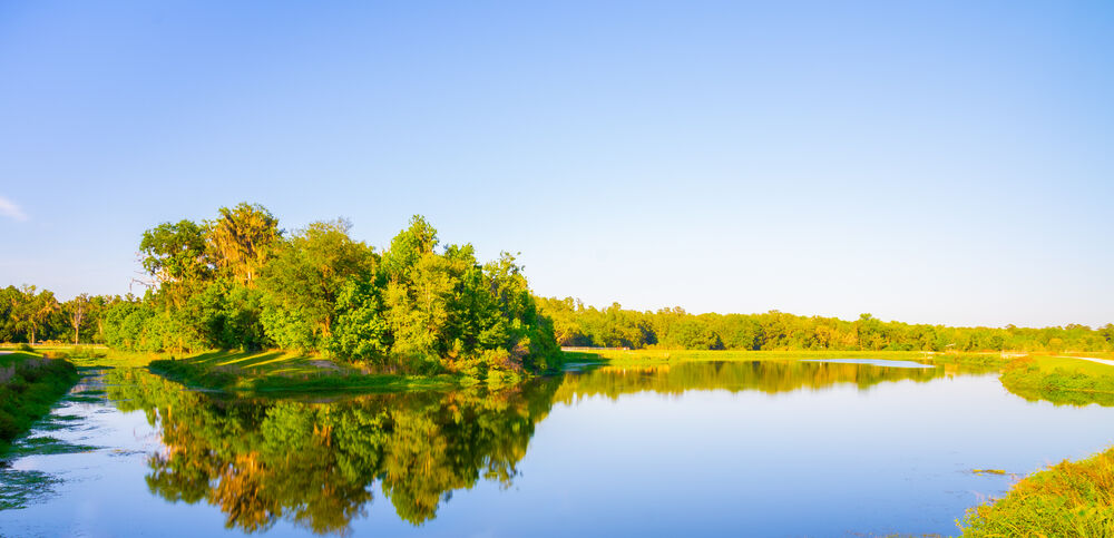 Sweetwater Wetlands Park in Gainesville.