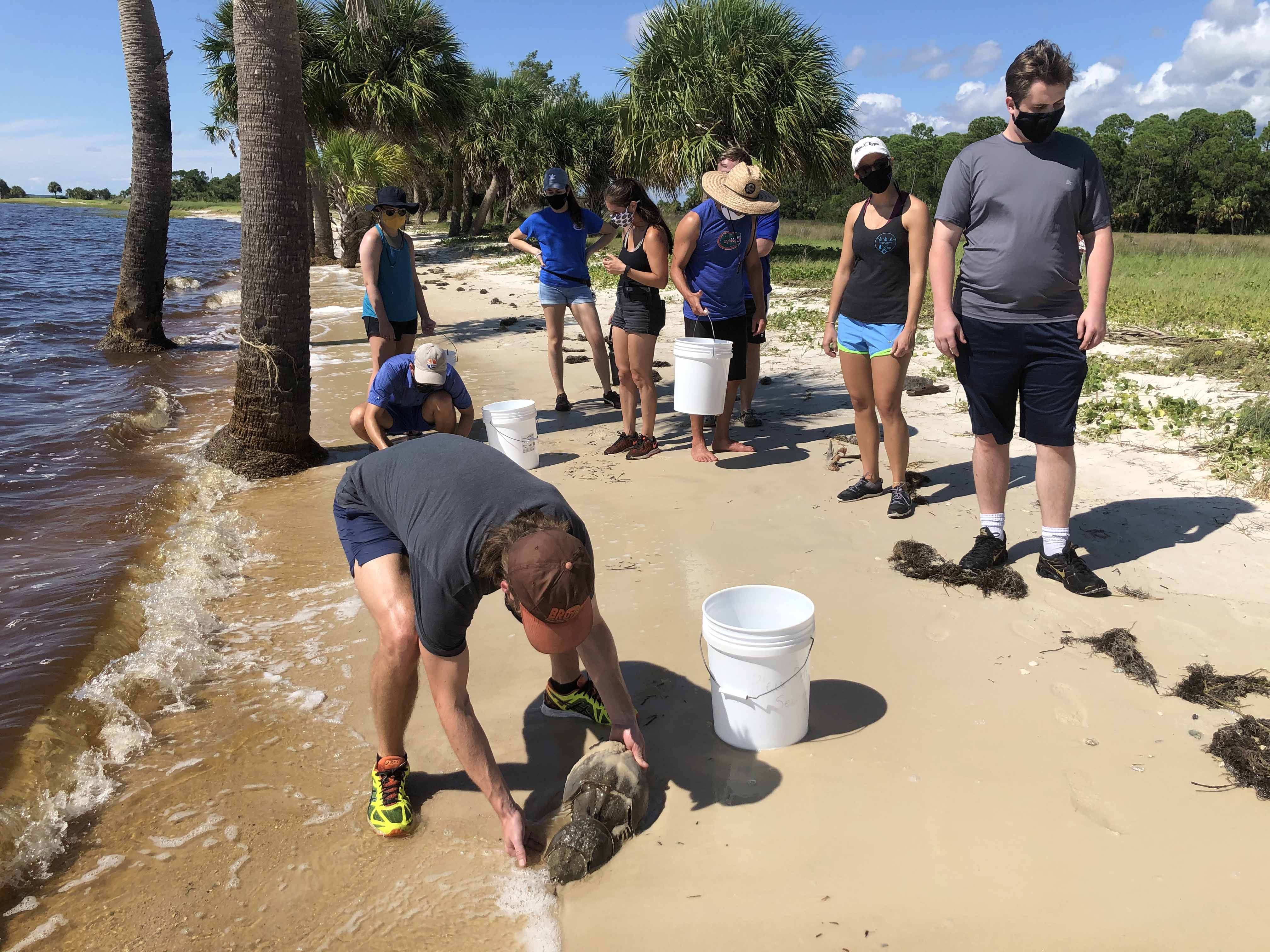 Citizen researchers work on a Florida beach