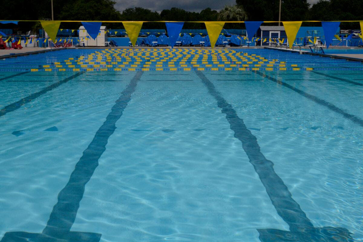 Recreational swimming reopens at Gainesville pools