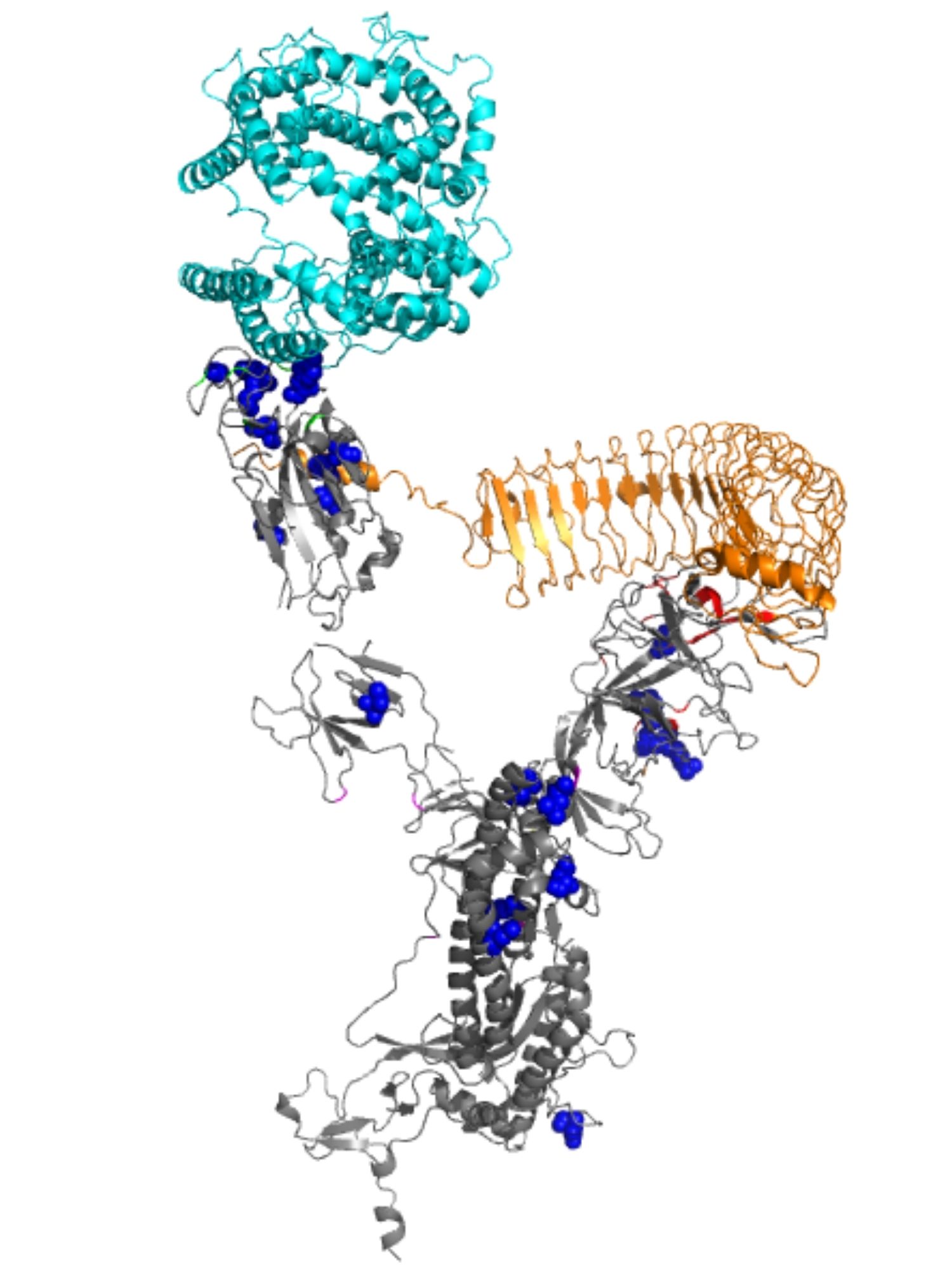 UF Health omicron variant pattern