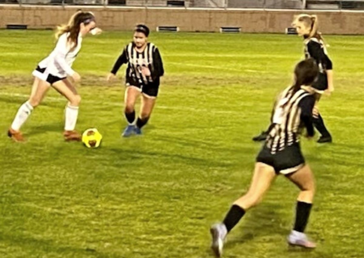 Buchholz's Cameron Hayes goes after ball