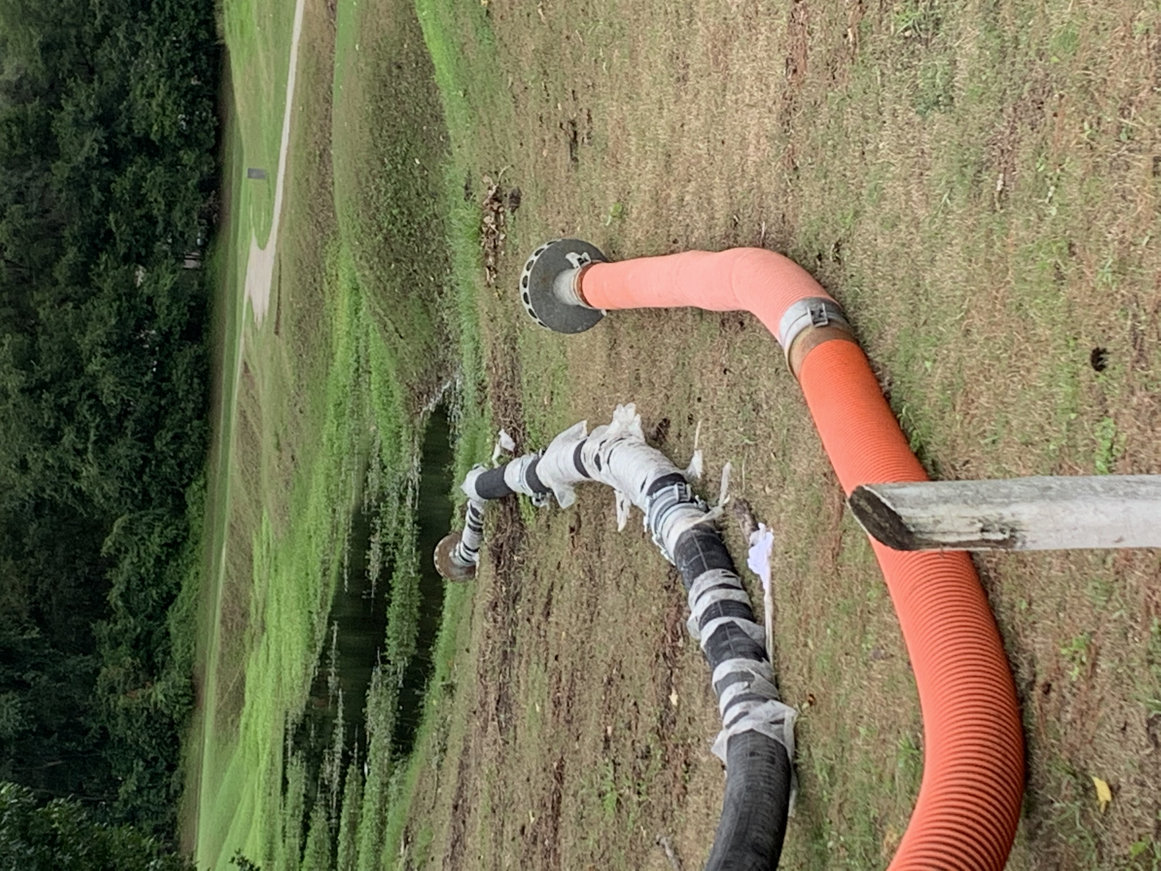 Water pump hoses on grass