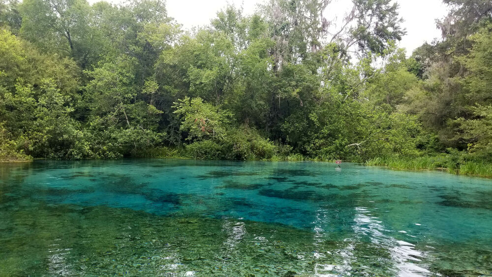 The Ichetucknee Springs State Park