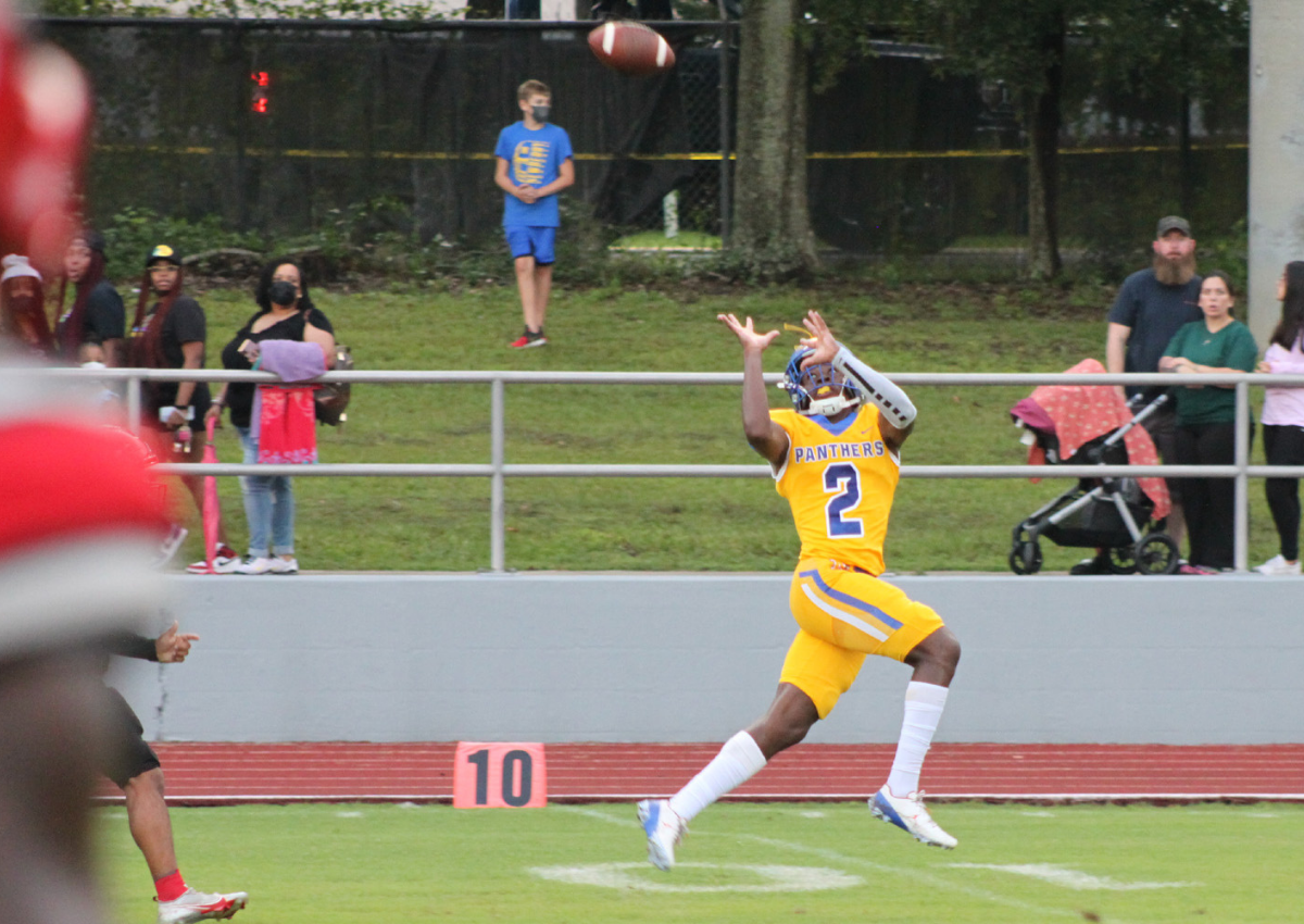 Newberry's Perrion Sylvester TD catch vs. Santa Fe
