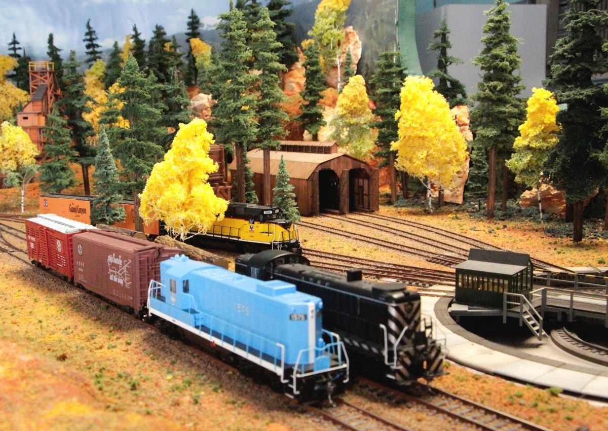 Trains in woods for Alachua model train club