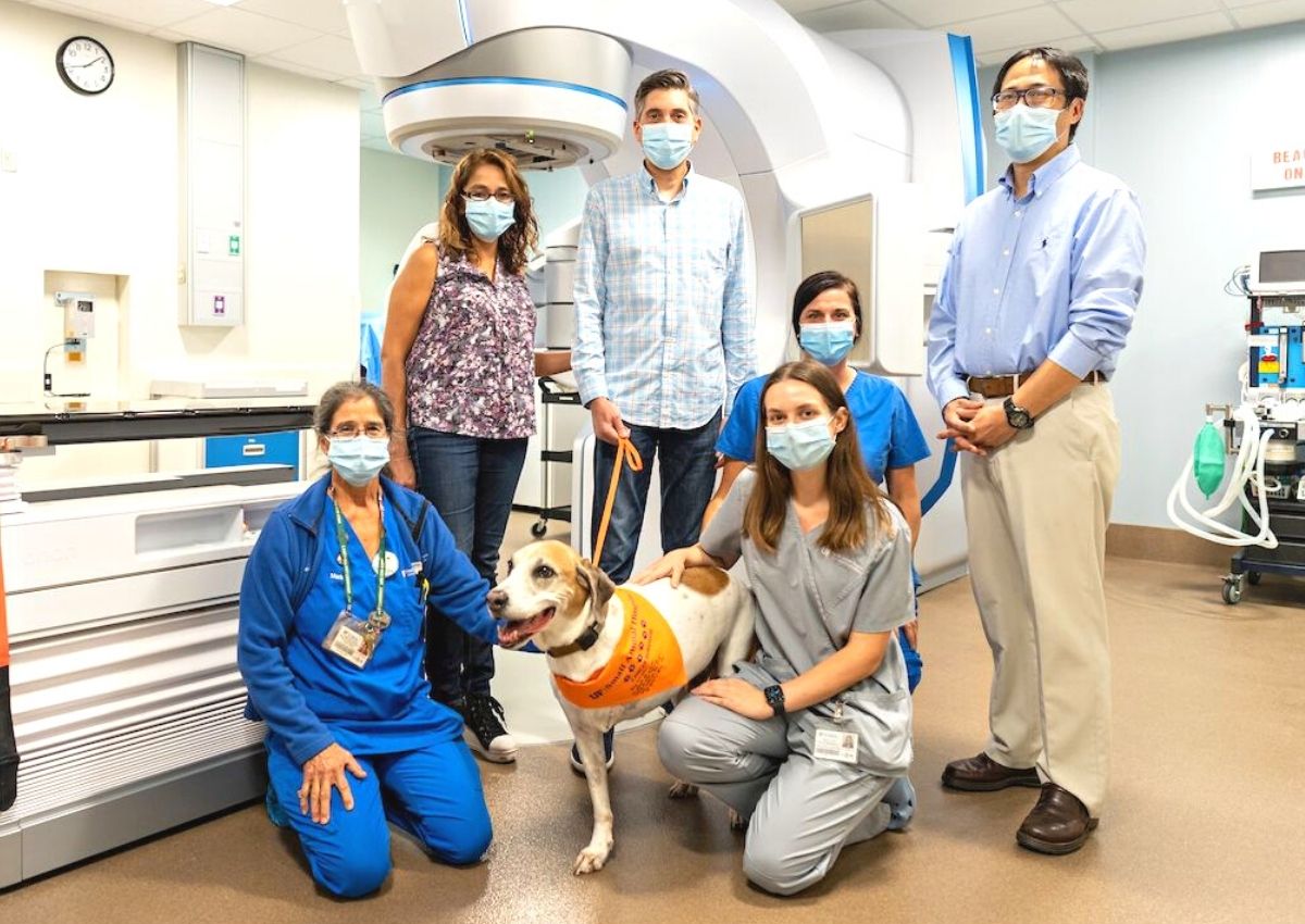UF Small Animal Hospital's radiation oncology team with Lincoln (dog) and new linear accelerator