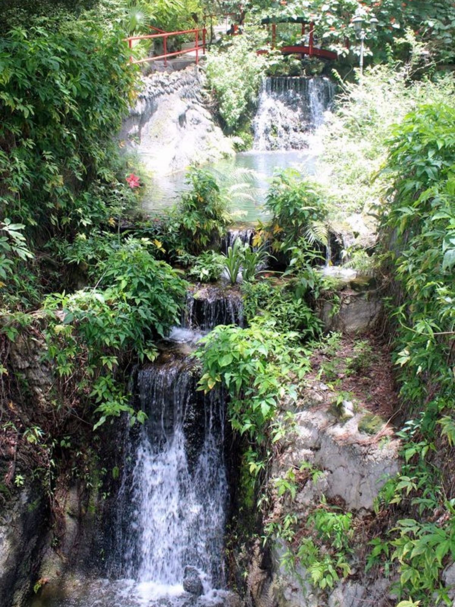 Cedar Lakes Woods and Gardens Japanese falls swinging bridge